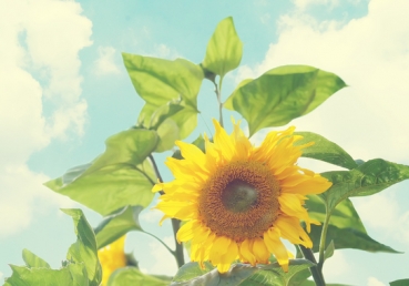 지방교회 측의 진리변증-삼위일체와 페리코레시스