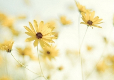 삼위일체관련 이단들