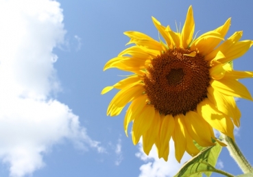 We have found the Christ who’s all in all