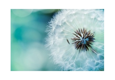 삼일 하나님 안에서의 하나