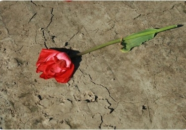 『성육신 하신 예수 그리스도』는 누구입니까?