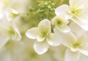 예수의 인성의 풍성한 공급