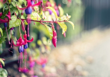 In a low dungeon, hope we had none