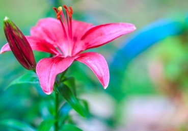 지방교회 양태론 시비의 실상(3)