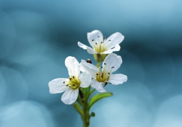 김홍기 목사의 거듭된 사실 왜곡과 거짓말의 끝은 과연 어디인가?