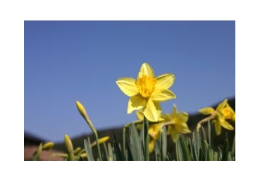 인격이신 그리스도를 사랑함