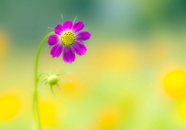 Take me Lord, and fill me with Your dear Self