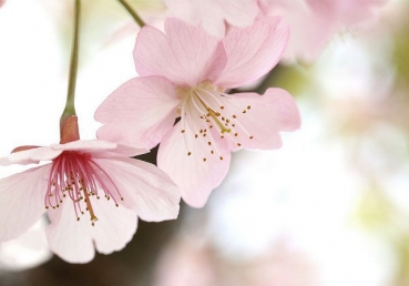 자아의 파쇄와 영의 해방