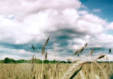 한국교단은 죽었다.