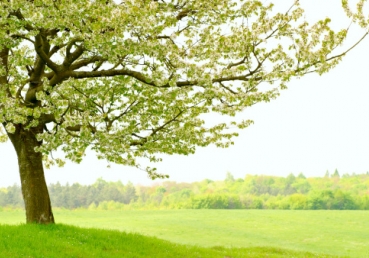 지방교회에 대한 비난은 오해에서 온 것