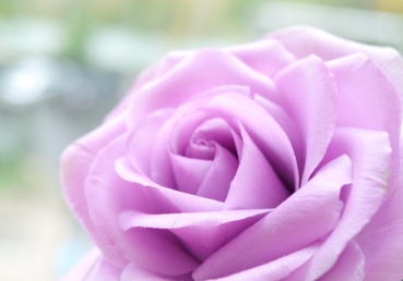 Now from my heart comes