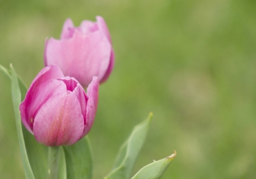 지방 교회들에 대한 이인규님의 거짓말(2)