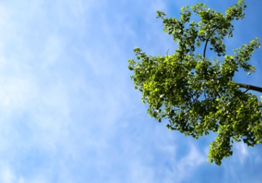 삼위일체와 삼일의 차이점