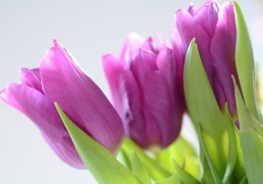 There’s a Man in the glory