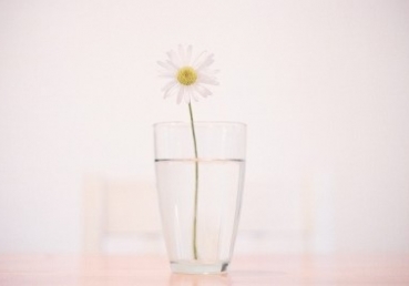 정확히 알고 말합시다.