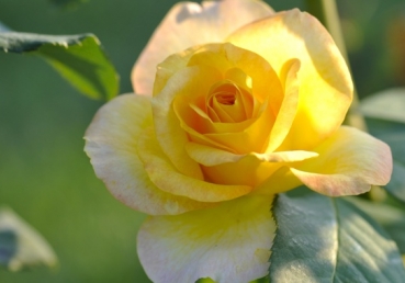 God’s Central Work and Purpose