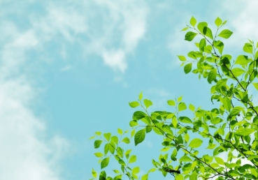 한국교회에 영향을 미친 워치만 니와 존 웨슬리의 신학 -인간론과 구원론을 중심으로- 석사학위 논문에 대한 지방교회 측의 반론