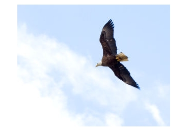 이기는 생명을 체험하는 길