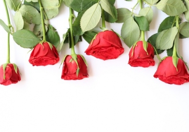 지방교회, 과연 이단인가?