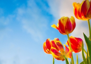 개혁 신학측과의 대화(1) - 시작하면서