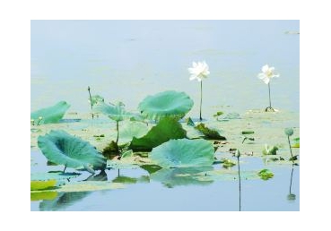 혼적인 신자의 경험