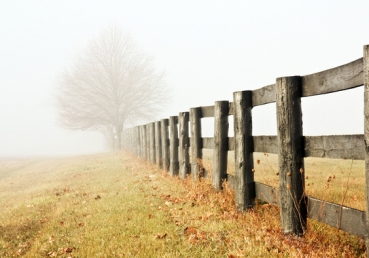 어떻게 원수를 사랑할 수 있는가?