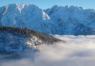 유동근 목사와 “나의 잊을 수 없는 기억들”의 실체 (9) - 워치만 니 아내의 반응과 근황