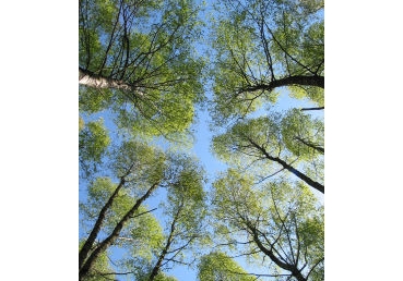 개혁신학과 워치만 니, 위트니스 리 신학의 접점은 과연 없는가? (2)