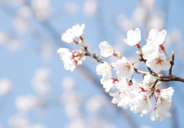 영의 정상적인 상태