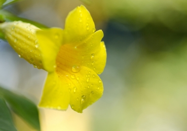 If the path I travel