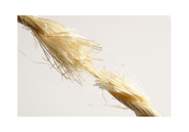 지방교회들의 핵심진리(6)-예수님의 이름으로 기도합니다.