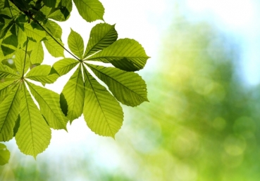 현대종교 2008년 10월호 관련기사에 대한 반박 및 항의