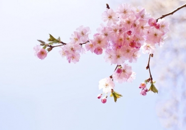 지방 교회들에 대한 이인규님의 거짓말(5)