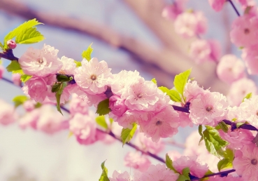 하나님의 뜻을 행하고 그의 목적을 이루는 집회