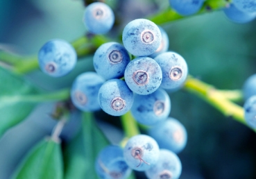 요한복음 7장 39절 연구서 소개 및 비평 - 변종길 교수의 성령과 구속사를 중심으로
