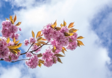 My heart is hungry, my spirit doth thirst