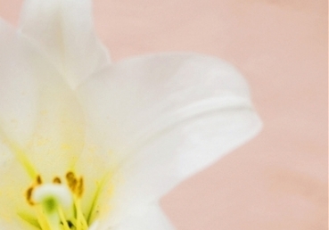 "사람이 하나님됨" 진리를 참되게 알고자 하는 분들께