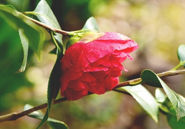사회 개혁에 대한 그리스도인의 태도