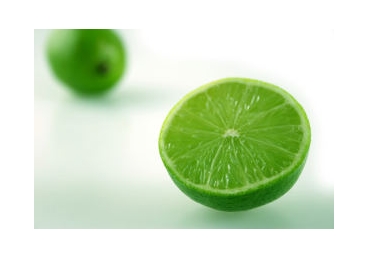 사실, 믿음, 체험