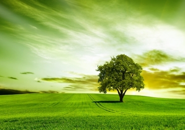 When all around my sky is falling