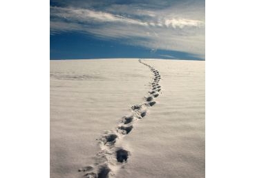 믿는이들의 휴거(1)