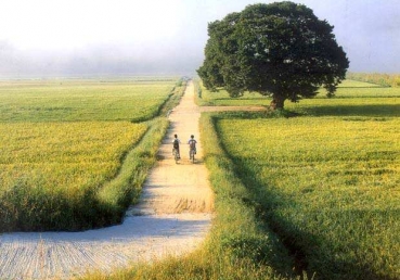 지방교회 다닌다고요?