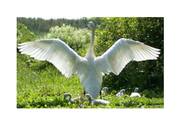 주님의 사역자의 성격―주관적이지 않아야 함