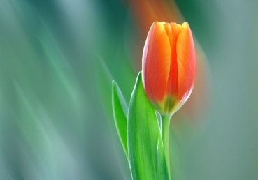 지방 교회들에 대한 이인규님의 거짓말(6)