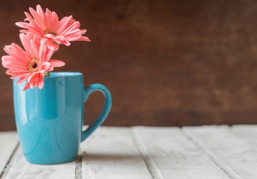 정부와 정치에 대한 그리스도인의 태도