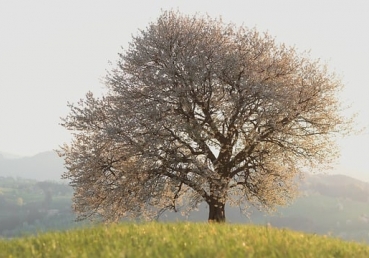 유동근 목사와 “나의 잊을 수 없는 기억들”의 실체 (10) - 또 다른 희생자들