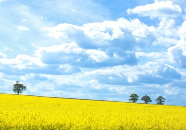 Our Lord's deep longing