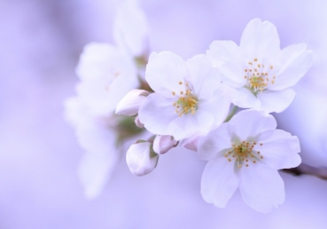 Above the waste and emptiness