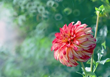 He tells me, guard thy heart