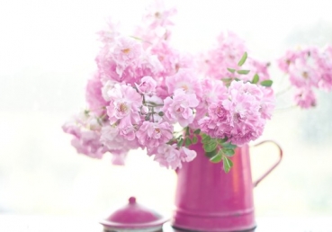 지방 교회들에 대한 이인규님의 거짓말(7)